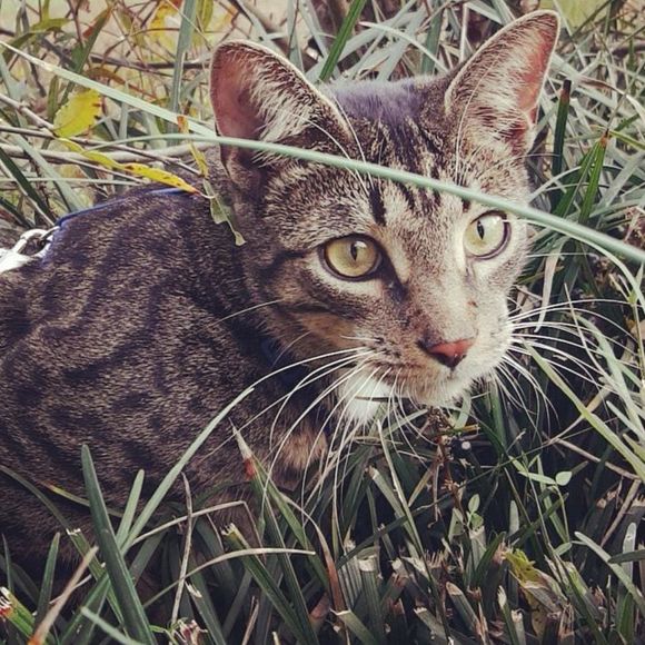 Meet your Posher, Teresa - Picture 1 of 1